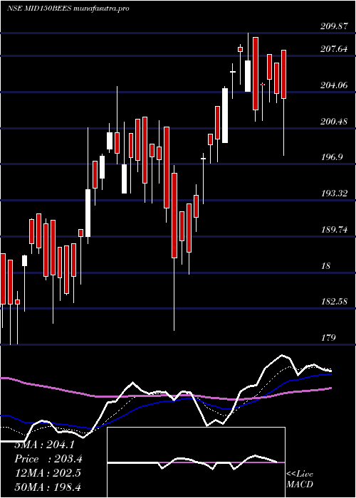 Daily chart NipInd