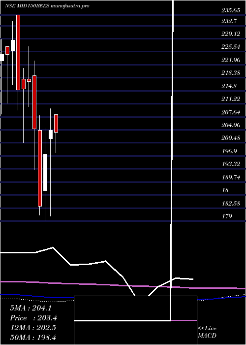 monthly chart NipInd