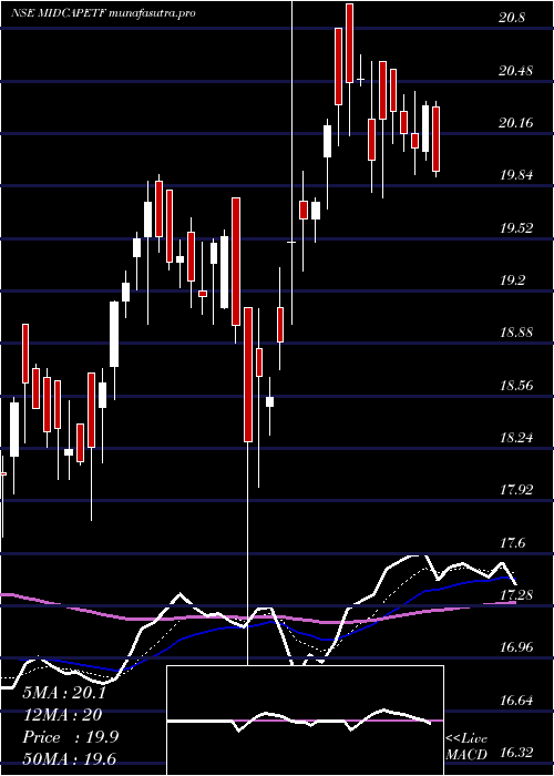 Daily chart MiraeamcMam150etf