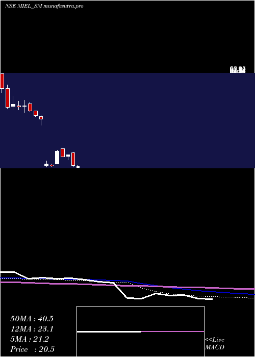 weekly chart ManglamInfra