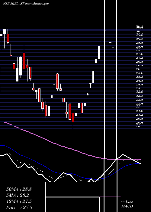 Daily chart ManglamInfra