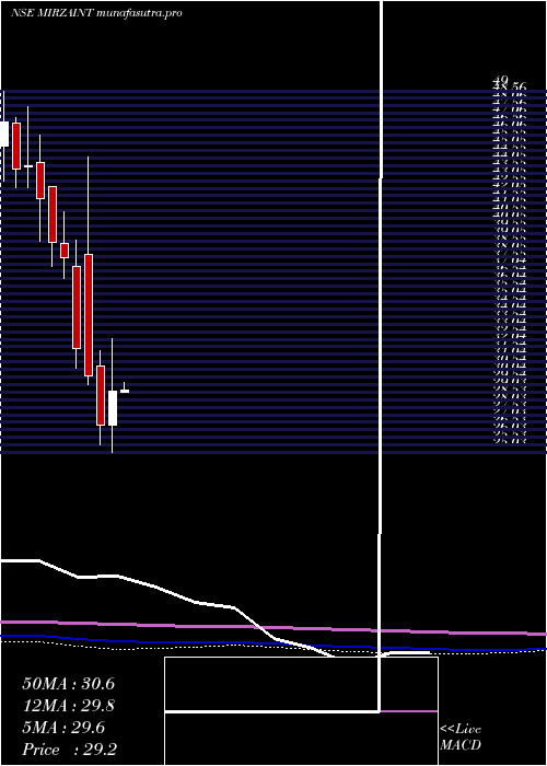monthly chart MirzaInternational