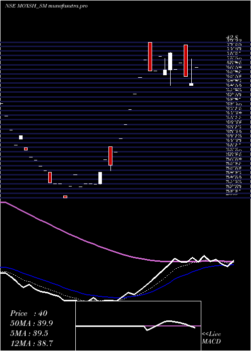 Daily chart MoxshOverseas