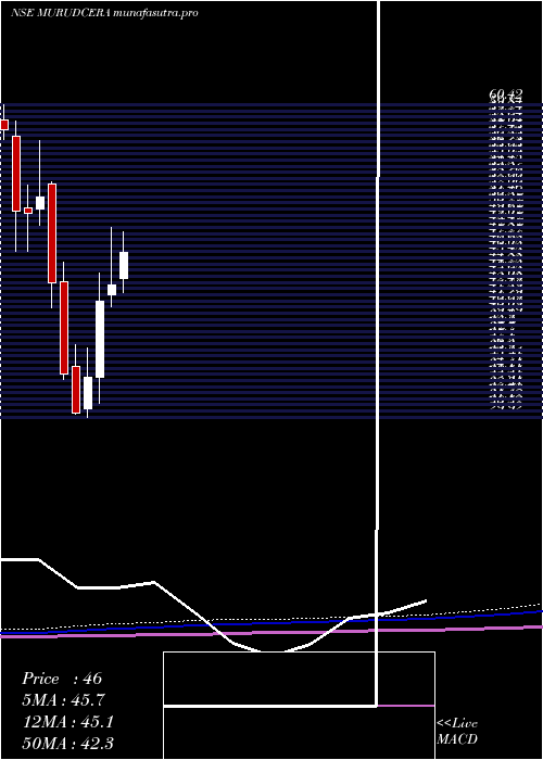 monthly chart MurudeshwarCeramics