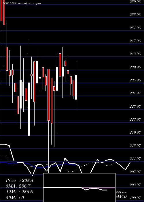 Daily chart MangalamWorldwide