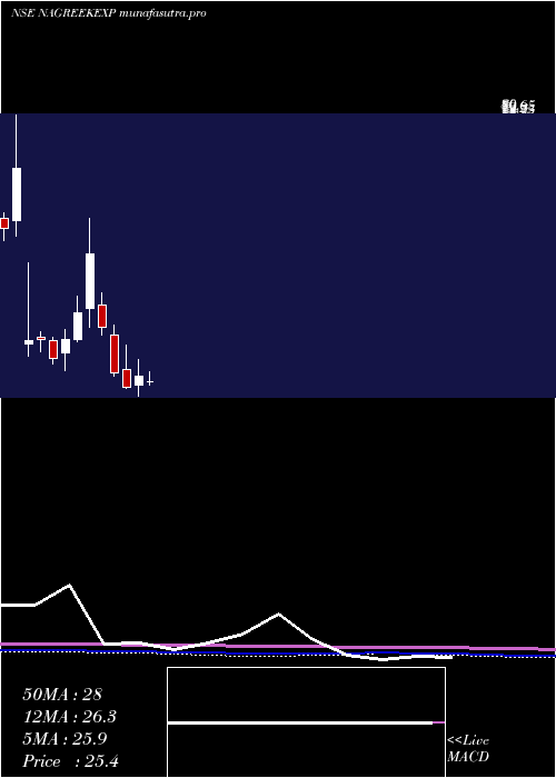 monthly chart NagreekaExports