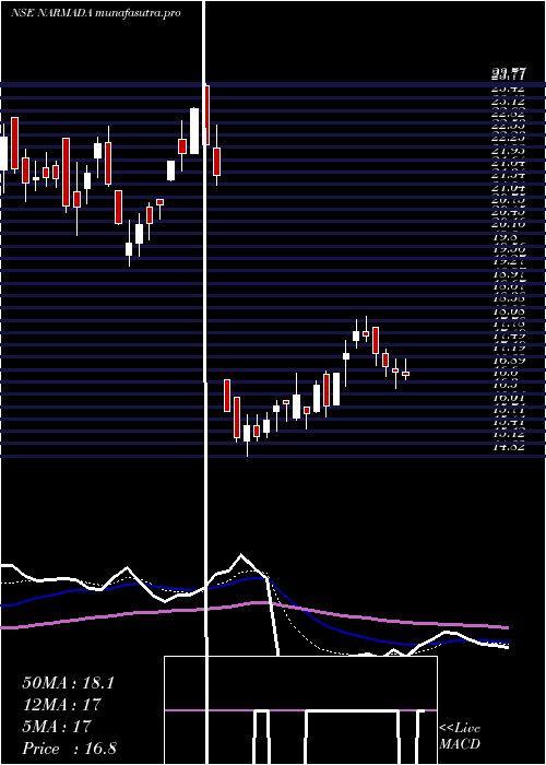 Daily chart NarmadaAgrobase