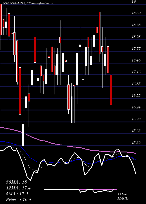 Daily chart NarmadaAgrobase