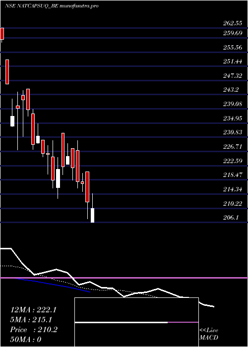 Daily chart NaturalCapsules