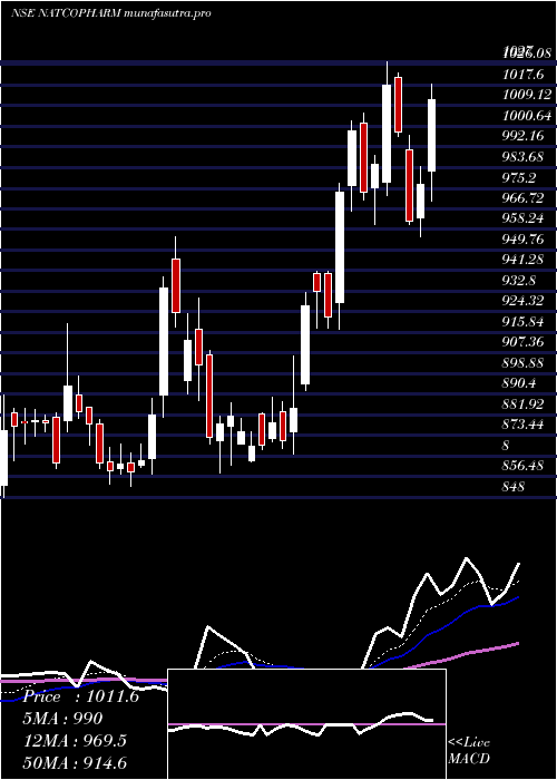 Daily chart NatcoPharma