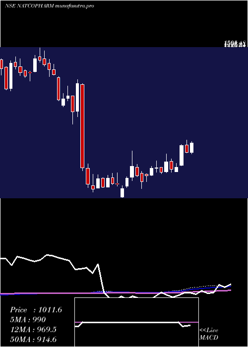 weekly chart NatcoPharma