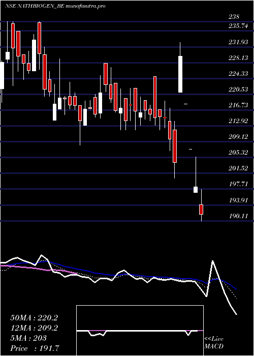 Daily chart NathBio