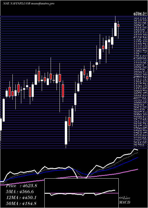 Daily chart NavinFluorine
