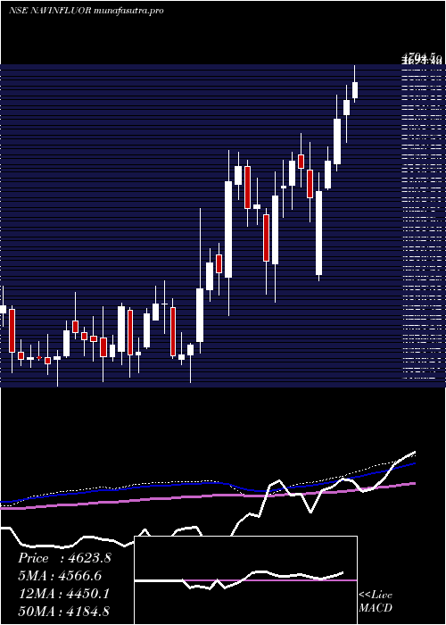 weekly chart NavinFluorine