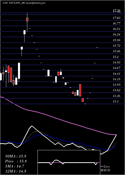 Daily chart NectarLifesciences