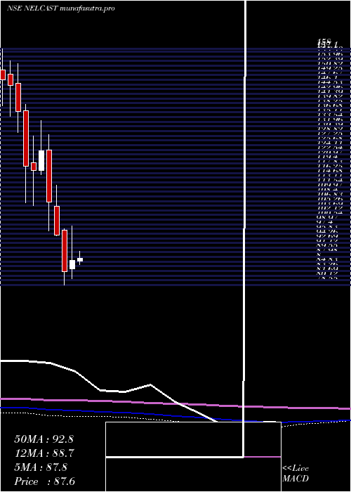 monthly chart Nelcast