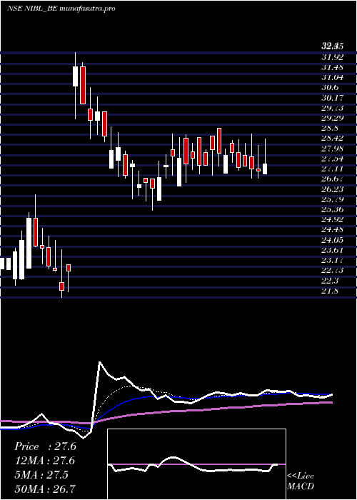 Daily chart NrbIndus