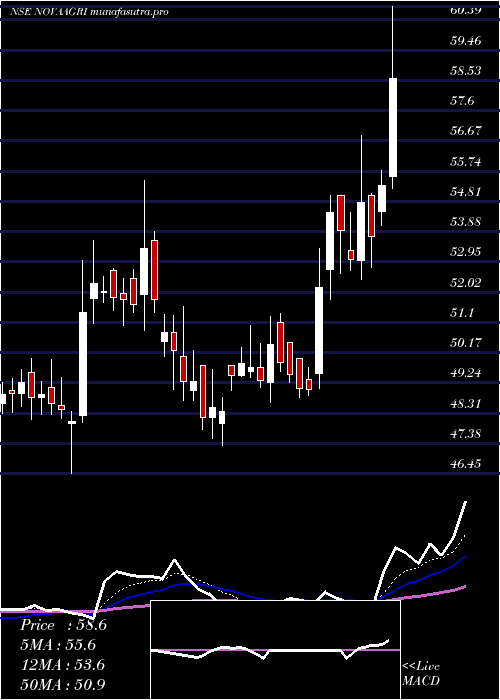 Daily chart NovaAgritech