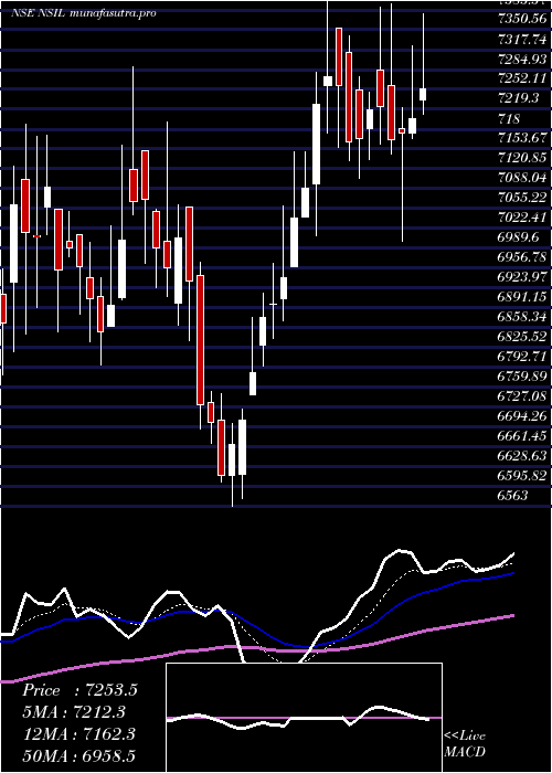Daily chart NalwaSons