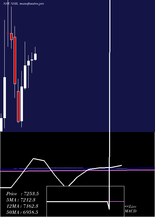monthly chart NalwaSons