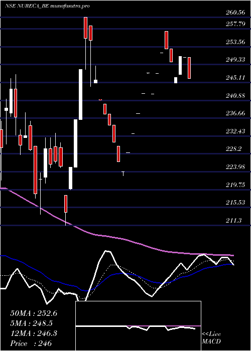 Daily chart Nureca