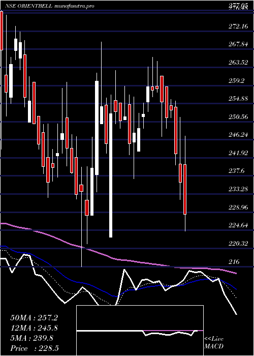 Daily chart OrientBell
