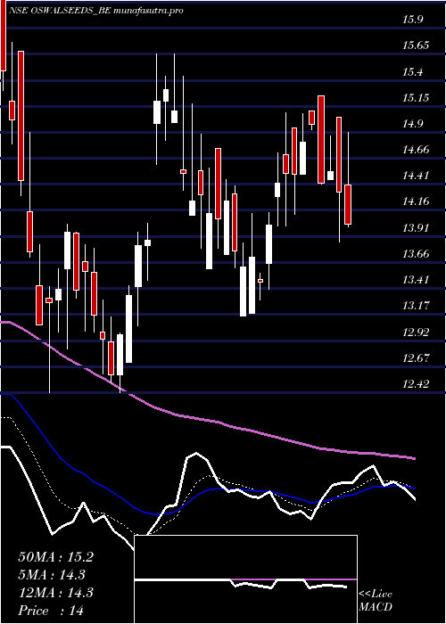 Daily chart ShreeoswalS
