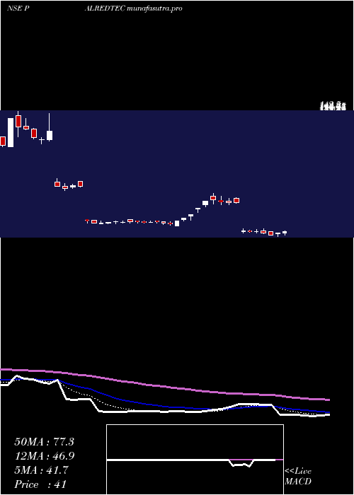  Daily chart PalredTechnolog