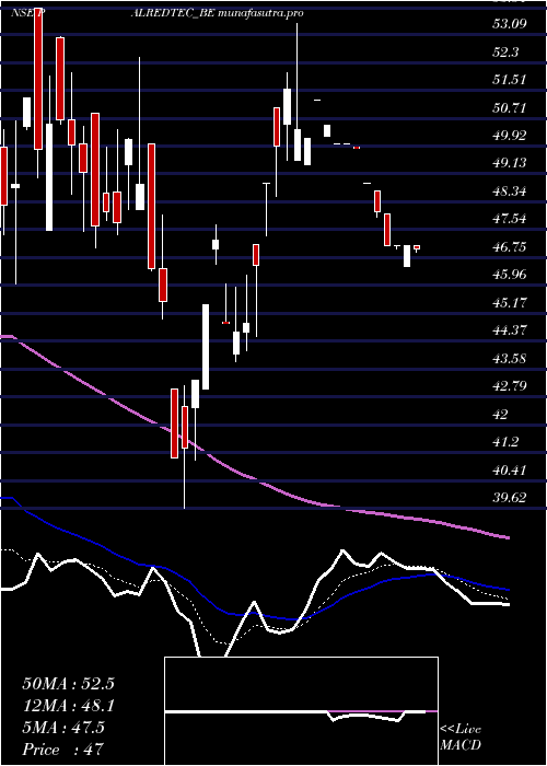 Daily chart PalredTechnologies