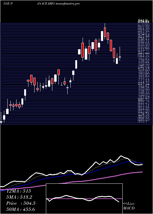 Daily chart PanaceaBiotec