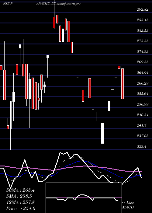  Daily chart PanacheDigilife