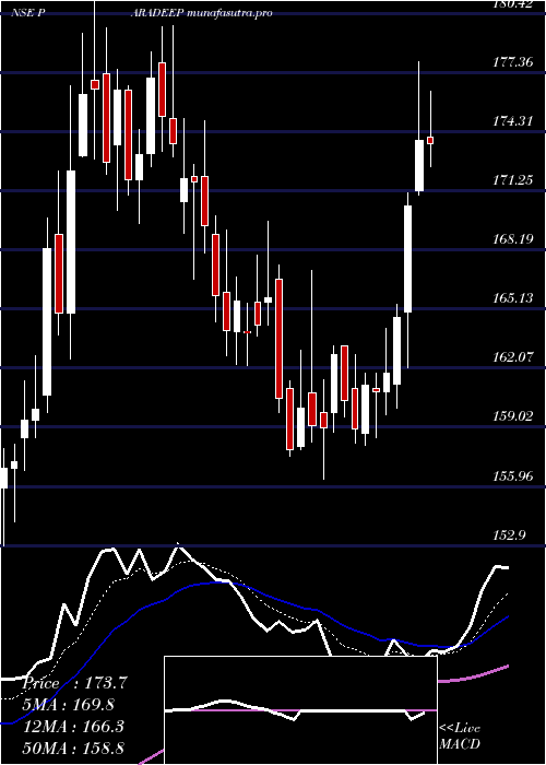 Daily chart ParadeepPhosphates