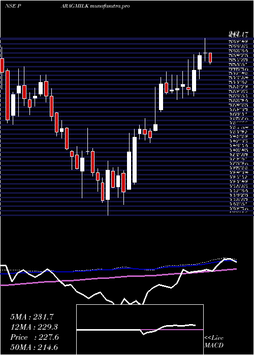 weekly chart ParagMilk