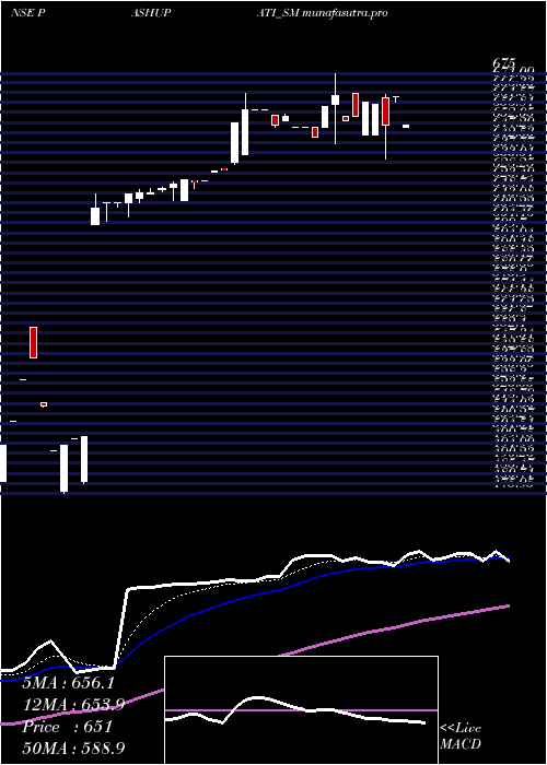 Daily chart PashupatiCotspin