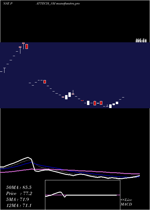 Daily chart PattechFitwell