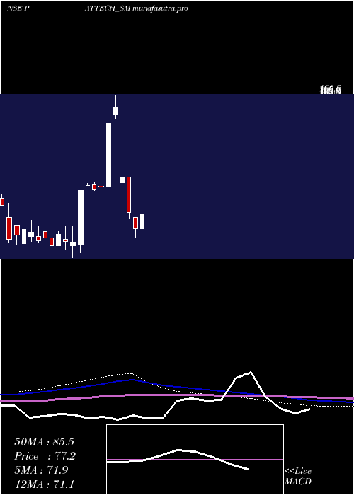 monthly chart PattechFitwell