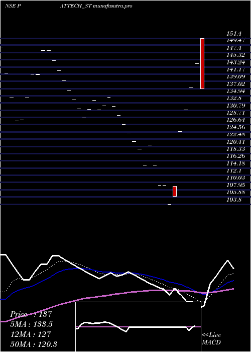 Daily chart PattechFitwell