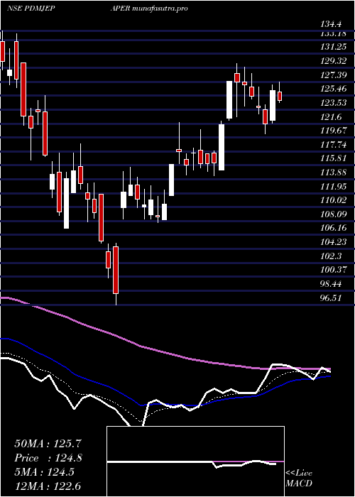 Daily chart PudumjeePaper