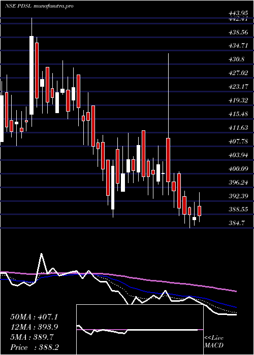 Daily chart Pds