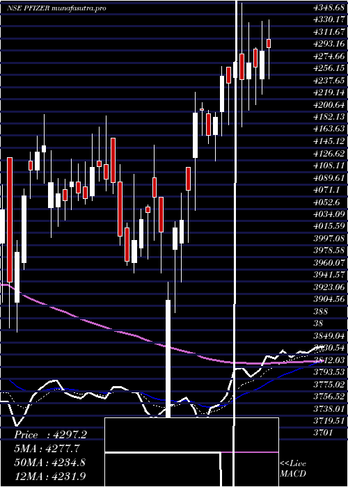 Daily chart Pfizer