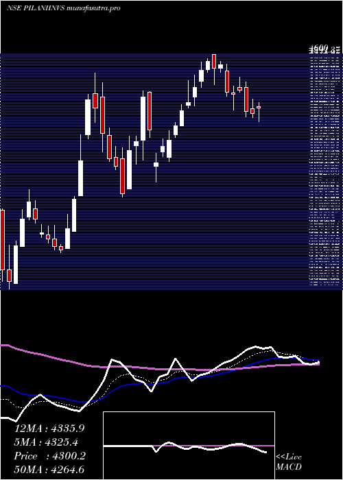 Daily chart PilaniInv