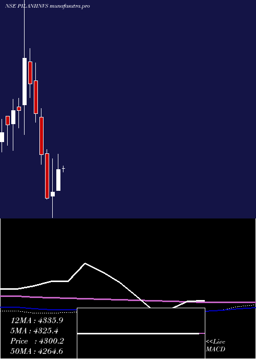monthly chart PilaniInv