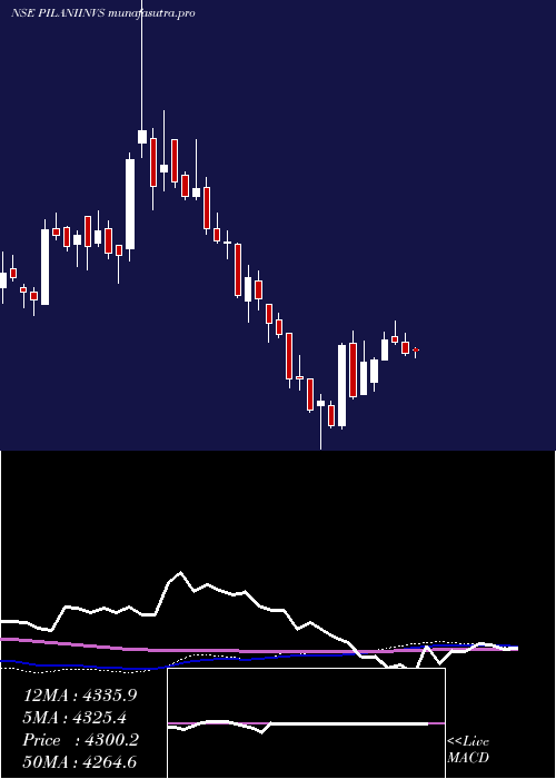 weekly chart PilaniInv