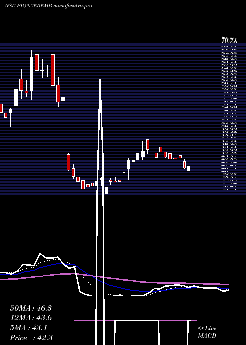 Daily chart PioneerEmbroideries