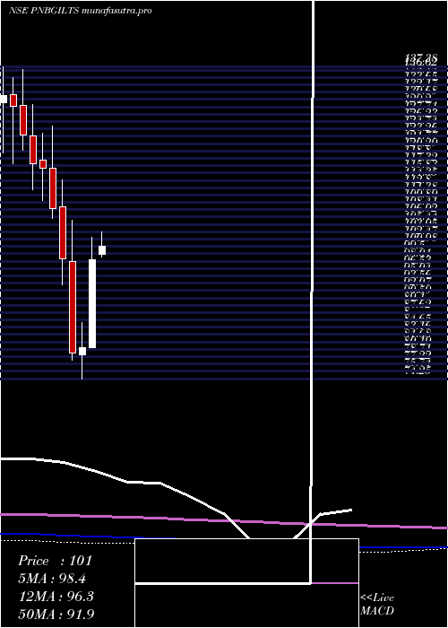 monthly chart PnbGilts