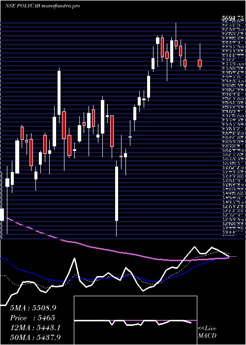 Daily chart PolycabIndia