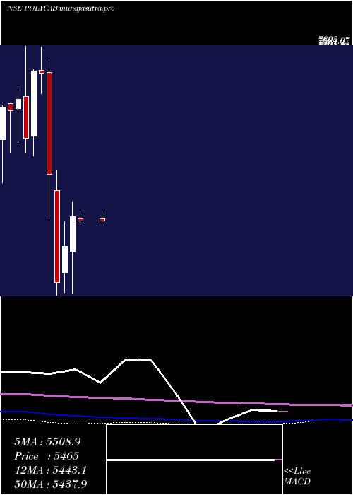 monthly chart PolycabIndia