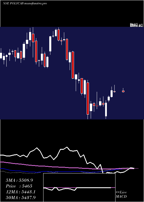 weekly chart PolycabIndia