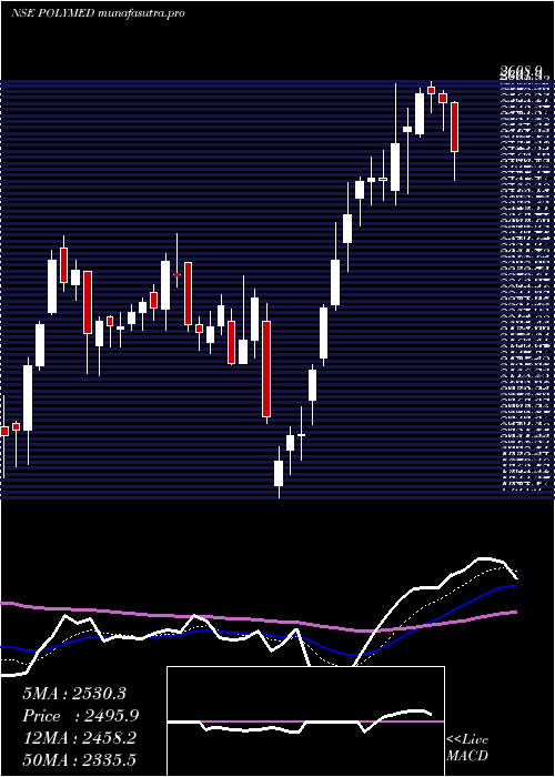 Daily chart PolyMedicure