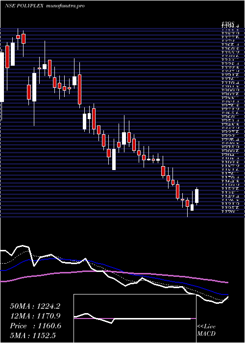 Daily chart PolyplexCorporation